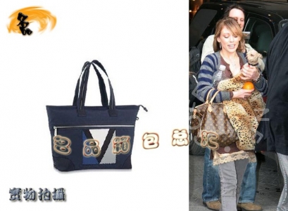 M80704 LVŮ LVμ LV LVϵ LV