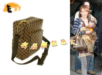 N41440 LVб LVа LVμ LV(jng)P LVe