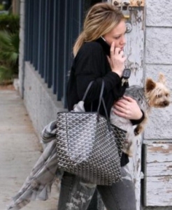 2376 ̖(ho) Goyard   Goyard ¿ Goyard r(sh)Ů  μ