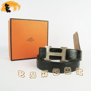 487 ¿ RпƤ HermesƤ Hermes rB\ \3cm