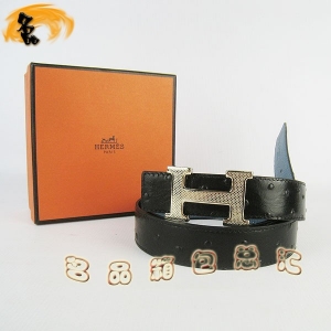 487 ¿ RпƤ HermesƤ Hermes rBy{ \3cm