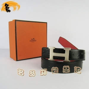 487 ¿ HermesƤ Hermes RƤ rByt \3cm