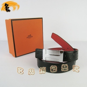 439 ¿ HermesƤ Hermes  RƤ rByҼt y3cm