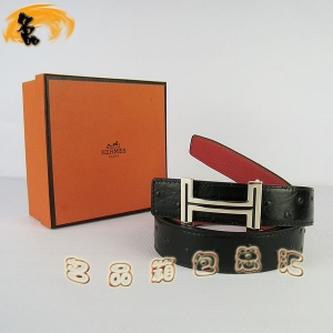 451 ¿ RпƤ HermesƤ Hermes rByt yڿ3cm