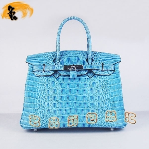 6088 RŮ Hermes Hermes Birkin K {~^y30 \{ɫy