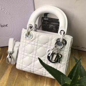 DiorϊW Lady Dior ϊW  ɫƤ Dior朗l y