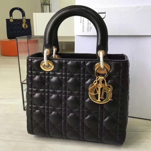 DiorϊW Lady Dior (jng)  ɫƤ  С̖(ho)