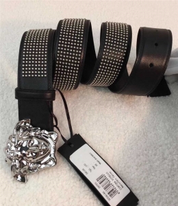 ˼Versce 2017¿Ƥ ɯ^Ƥ ʿţƤ ɫy