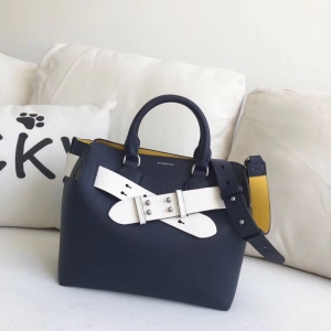 40769461 ͌ The Belt С̖(ho) ɫƤ ؐذ {(ln)S