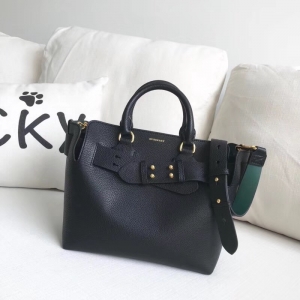 40769461 ͌ The Belt С̖(ho) ɫƤ ؐذ ɫ