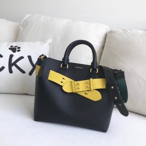 40769461 ͌ The Belt С̖(ho) ɫƤ ؐذ S