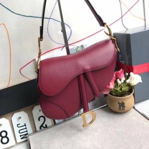 M0446 Dior SaddleСţƤ DiorR DiorŮ õt