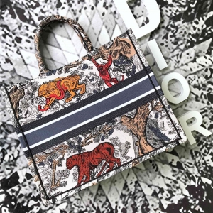 M1286 ϊWŮ Dior ϊWCُ(gu) Dior ϊW ɫ