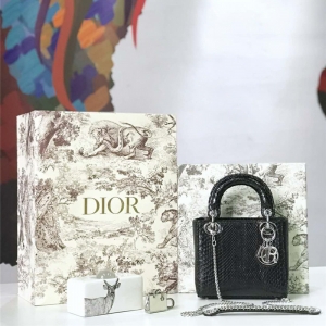 M673 DiorϊW Lady Dior ϊW Ƥ Dior朗l ɫy