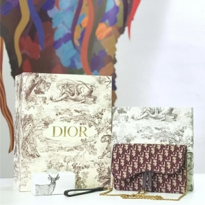 M5620 Dior ObliqueŮ Ứ ϊW朗l Diorð Ƽtɫ