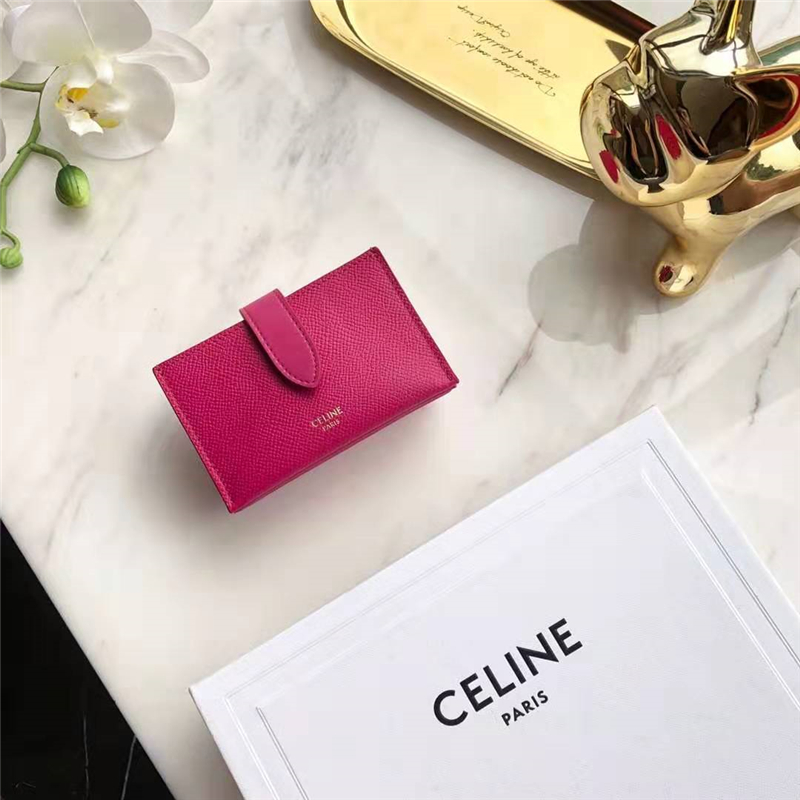 10B693 Celineِտ СţƤ CelineL(fng)޿ õtɫ 