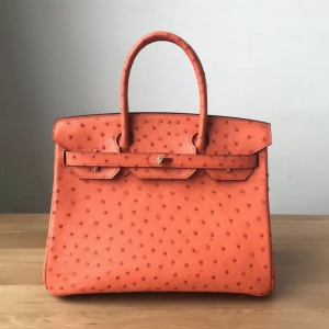 Hermes Birkin 25 RK ֹư rBƤ ɫ