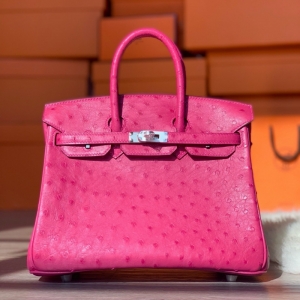 Hermes Birkin 25 RK ֹư rBƤ õtɫ