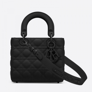 M0538 Dior Lady Dior My ABCDior ִ ţƤٸy ɫ