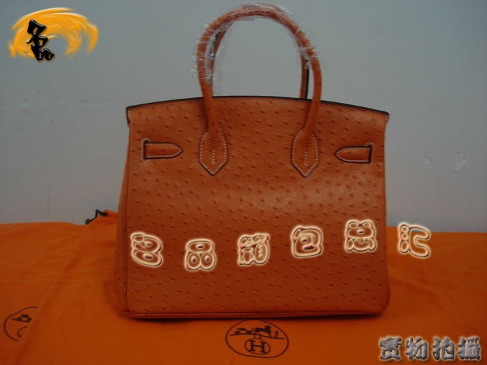 Hermes Birkin 鉑金包 Hermes 手提包 Hermes最新款 Hermes 30 Birkin Hermes鴕鳥紋