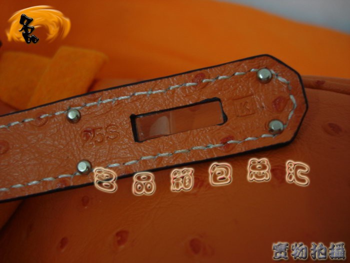 Hermes Birkin 鉑金包 Hermes 手提包 Hermes最新款 Hermes 30 Birkin Hermes鴕鳥紋