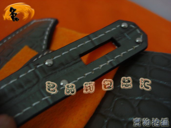 Hermes經典女包 Hermes 手提包 女士包包 Hermes Birkin 鉑金包 鱷魚紋