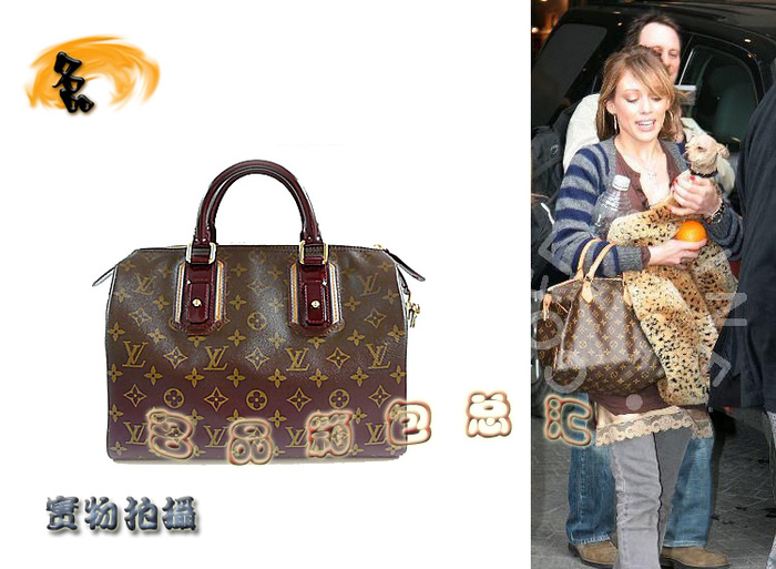M95586 LV手提包 LV老花包 LV女包 LV枕頭包 LV最新款
