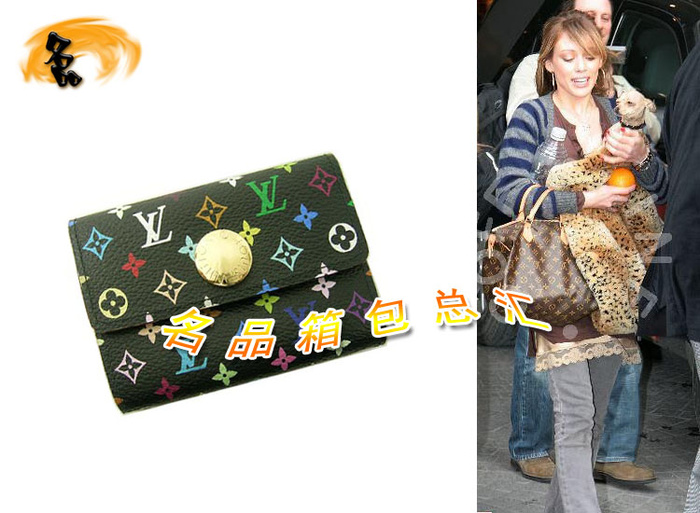 M60007 LV村上隆 LV三三彩 LV33彩 LV女包 LV零錢包 LV錢包