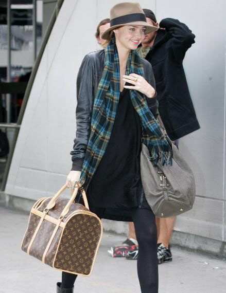 M42021 LV經典款 LV經典老花 LV寵物包 LV寵物箱