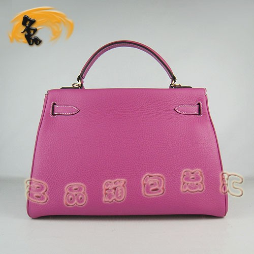 6108 Hermes¿ ֦y Ҽtɫ б rŮʿ Hermes Kelly P