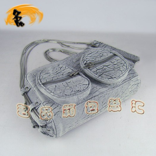 63471 Alexander Wang/亞利山大王 最新款 時尚休閑女士斜挎包 灰色