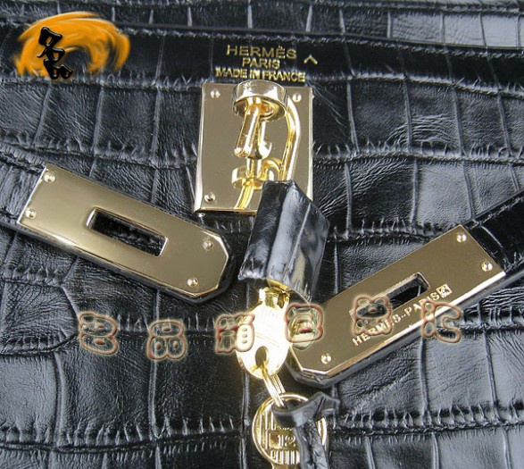 6108 Hermes¿{~y б Hermes KellyϵŮʿ ɫ
