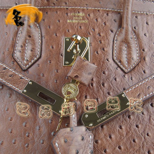 6089 Hermes Birkin 鉑金包 35 Birkin 鴕鳥(niǎo)紋女包 Hermes手提包 淺啡色金扣