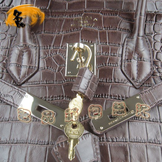 6089 Hermes 鱷魚紋手提包 Hermes女包 Hermes Birkin 鉑金包 深啡色金扣(35)