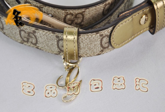 201789 Gucci皮帶 Gucci最新款 PVC 時尚女士皮帶 Gucci腰帶 原版一比一品質