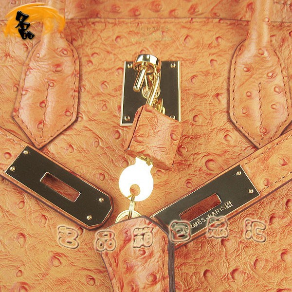 6088 Hermes Birkin 鉑金包 愛馬仕女包 Hermes手提包 鴕鳥紋(30) 橙色金扣