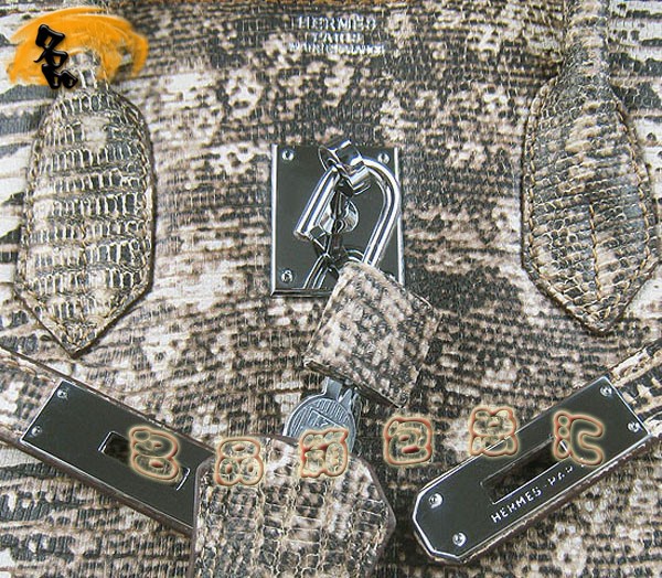 6089 Hermes手提包 愛馬仕女包 Hermes Birkin 鉑金包 蜥蜴紋(35) 米白色銀扣