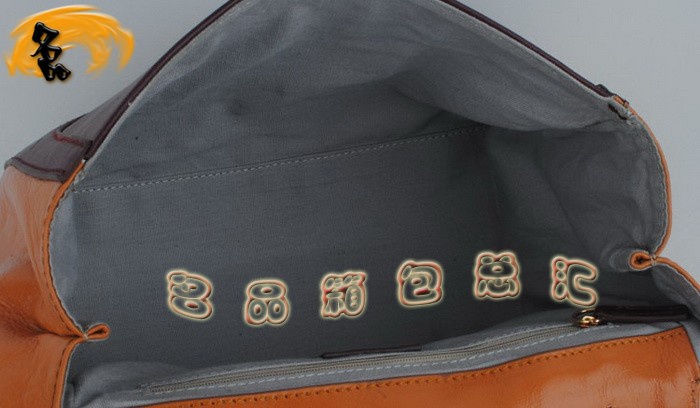 2798 Fendi原版皮女士手提包 芬迪最新款時尚女士斜挎包 Fendi女包 Fendi斜挎包 橙配酒紅色