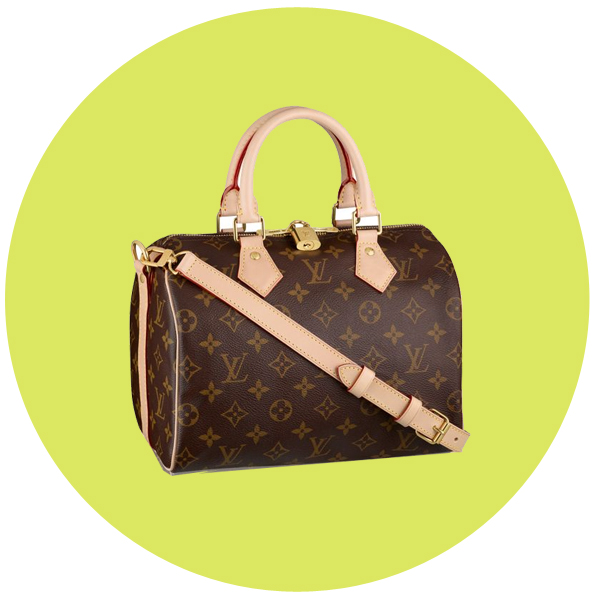 Louis Vuitton Speedy 25 手袋