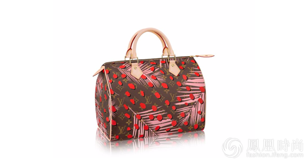 Louis Vuitton Damier Speedy