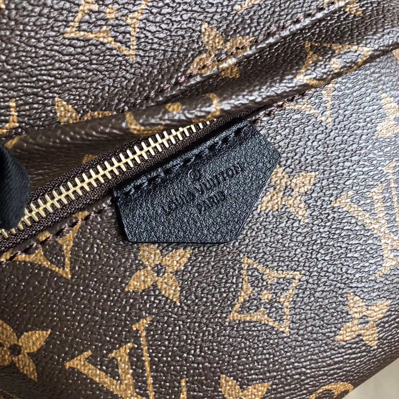 M41560 LV Monogram Backpack 小號雙肩包 LV雙肩包 LV背包