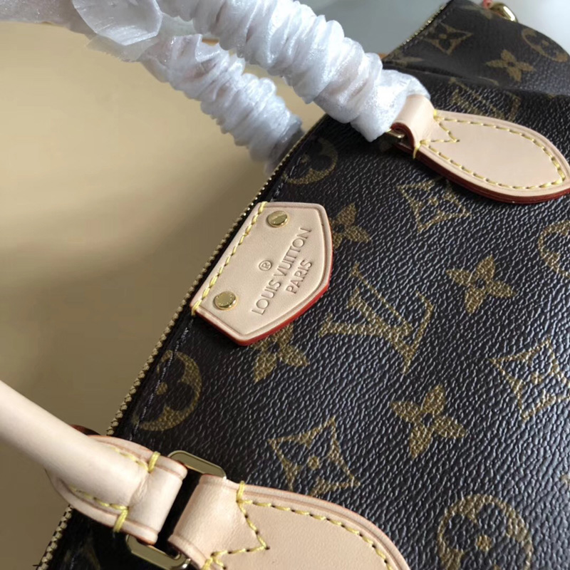 M48813 LV Turenne 小號手袋 LV女包 LV經典老花包 LV手提單肩包