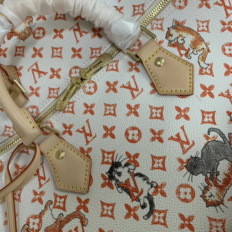 M44400 LV SPEEDY 30 手袋(配肩帶) (北京SKP限定款) Catogram 圖案女包 LV枕頭包