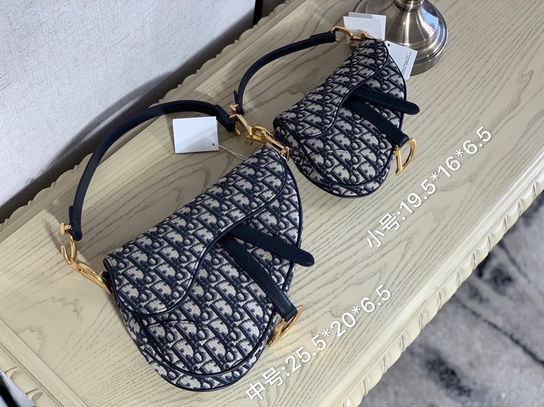 Dior迪奧馬鞍包兩個尺寸對比圖