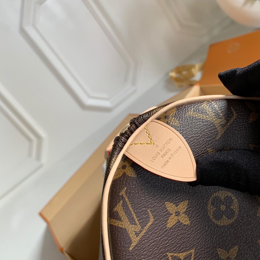 M41108 LV SPEEDY 30 手袋 Monogram 帆布老花女包 LV枕頭包