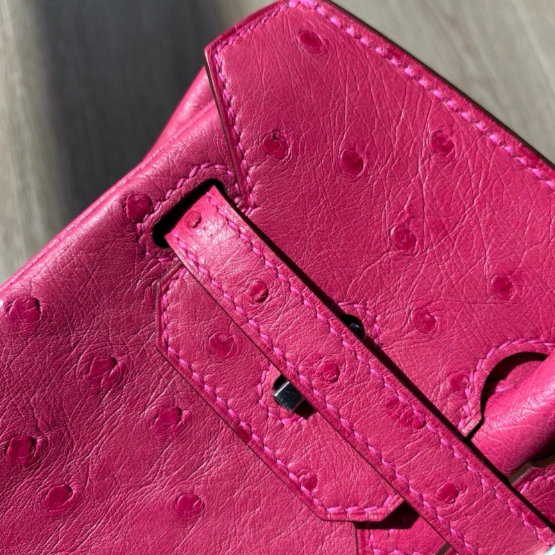 Hermes Birkin 25 愛馬仕鉑金包 純手工定制版 鴕鳥皮 玫紅色