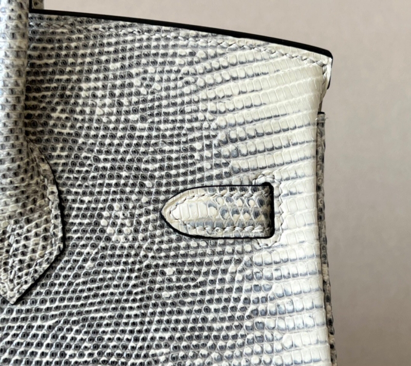 愛馬仕Hermes Birkin25 愛馬仕鉑金包 純手工定制版 蜥蜴皮 雪花原色