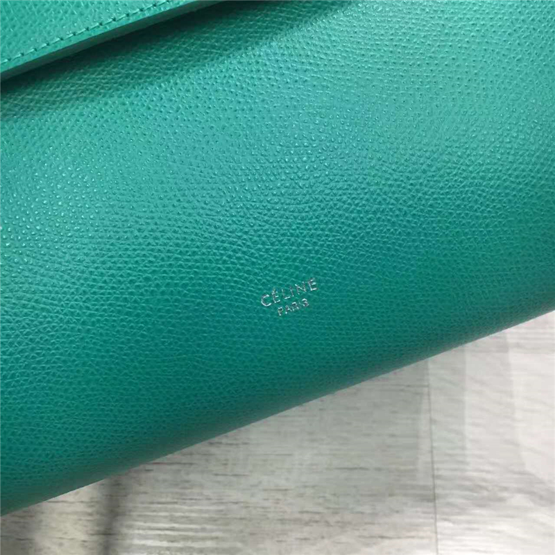 Celine 光滑牛皮皮革 流蘇裝飾鯰魚手提包 大容量