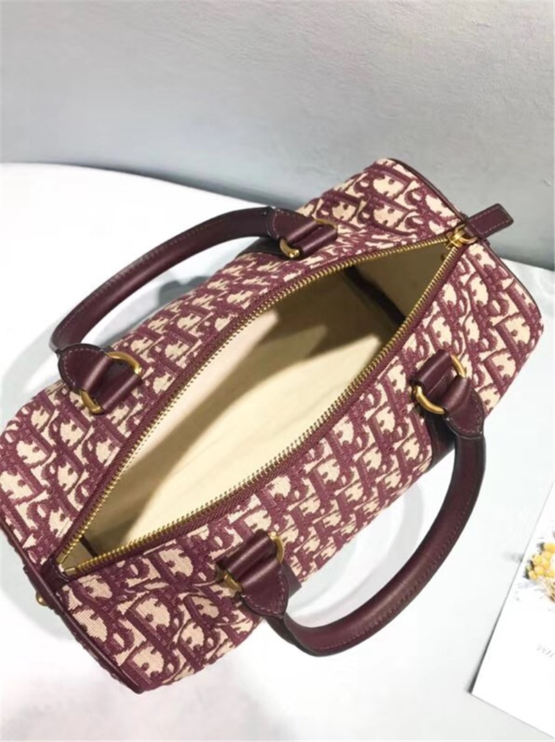 Dior經典款 迪奧枕頭包 Dior oblique 迪奧手提包 Dior時尚休閑女包