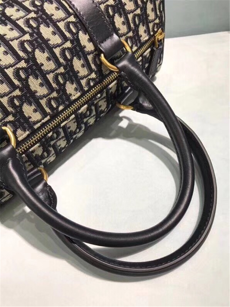 Dior經典款 迪奧枕頭包 Dior oblique 迪奧手提包 Dior時尚休閑女包